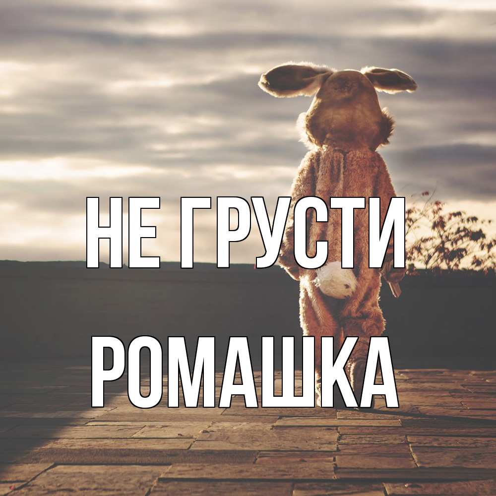 Открытка на каждый день с именем, Ромашка Не грусти со спины Прикольная открытка с пожеланием онлайн скачать бесплатно 