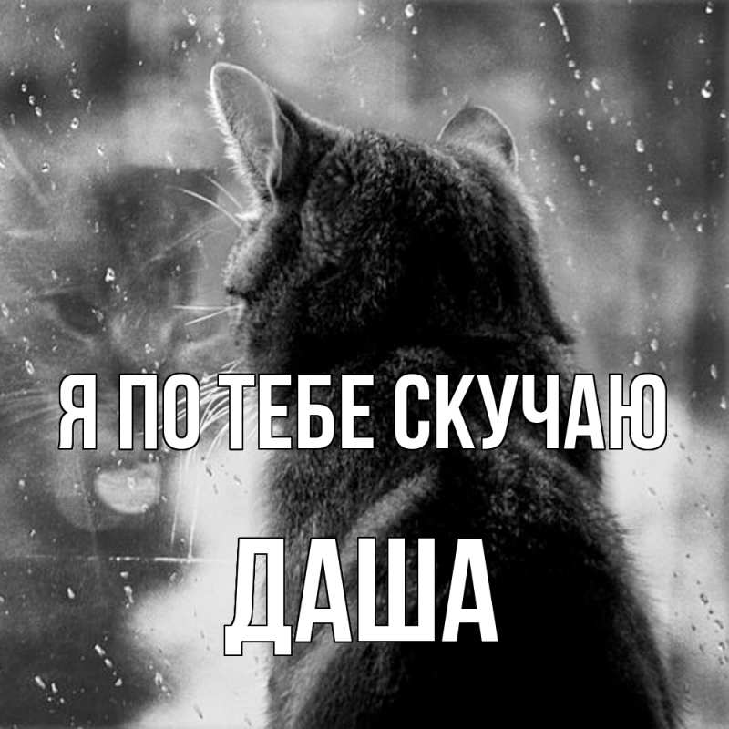 Картинка Я по тебе скучаю, Даша