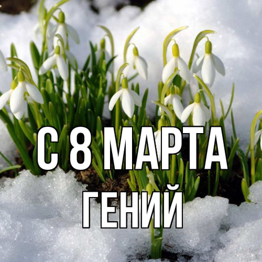 Открытка на каждый день с именем, Гений C 8 МАРТА цветы весенние Прикольная открытка с пожеланием онлайн скачать бесплатно 