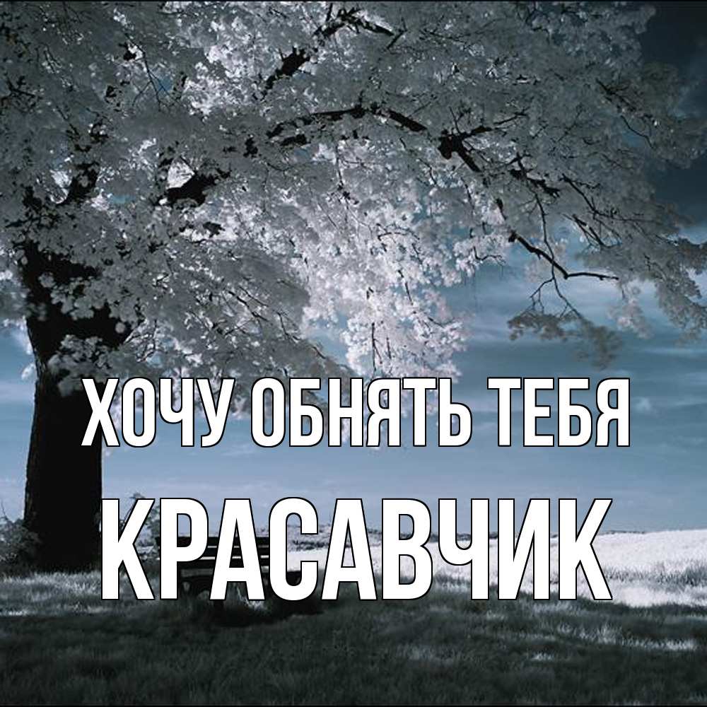 Открытка на каждый день с именем, Красавчик Хочу обнять тебя дерево Прикольная открытка с пожеланием онлайн скачать бесплатно 