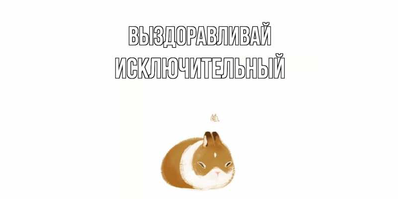 Картинка Выздоравливай, Исключительный