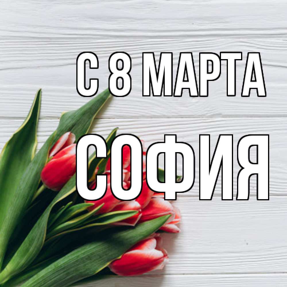 Открытка на каждый день с именем, София C 8 МАРТА весна 2 Прикольная открытка с пожеланием онлайн скачать бесплатно 