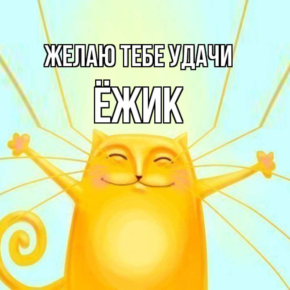 Открытка на каждый день с именем, Ёжик Желаю тебе удачи пусть придет к тебе удача Прикольная открытка с пожеланием онлайн скачать бесплатно 
