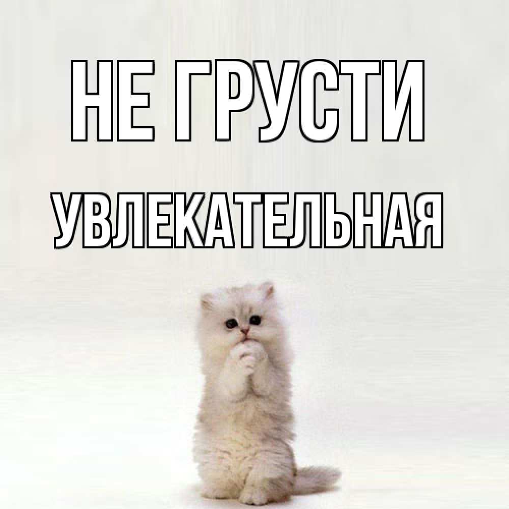 Открытка на каждый день с именем, Увлекательная Не грусти грустный кот Прикольная открытка с пожеланием онлайн скачать бесплатно 