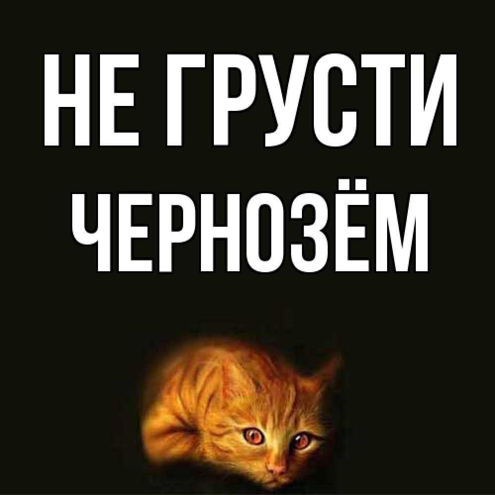 Открытка на каждый день с именем, Чернозём Не грусти лежащий кот в темноте Прикольная открытка с пожеланием онлайн скачать бесплатно 