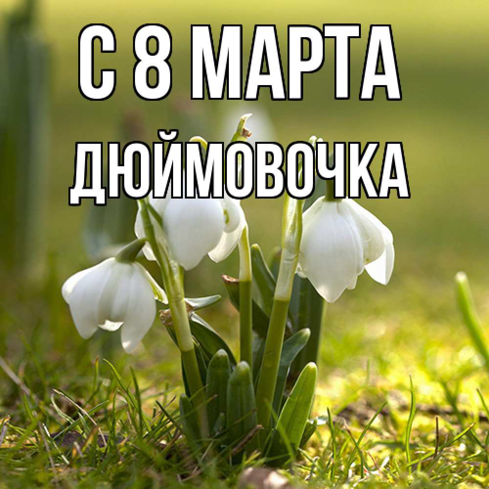Открытка на каждый день с именем, Дюймовочка C 8 МАРТА ранние цветы 2 Прикольная открытка с пожеланием онлайн скачать бесплатно 