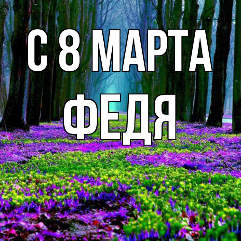 Открытка на каждый день с именем, Федя C 8 МАРТА фиолетовые цветы в лесу 1 Прикольная открытка с пожеланием онлайн скачать бесплатно 
