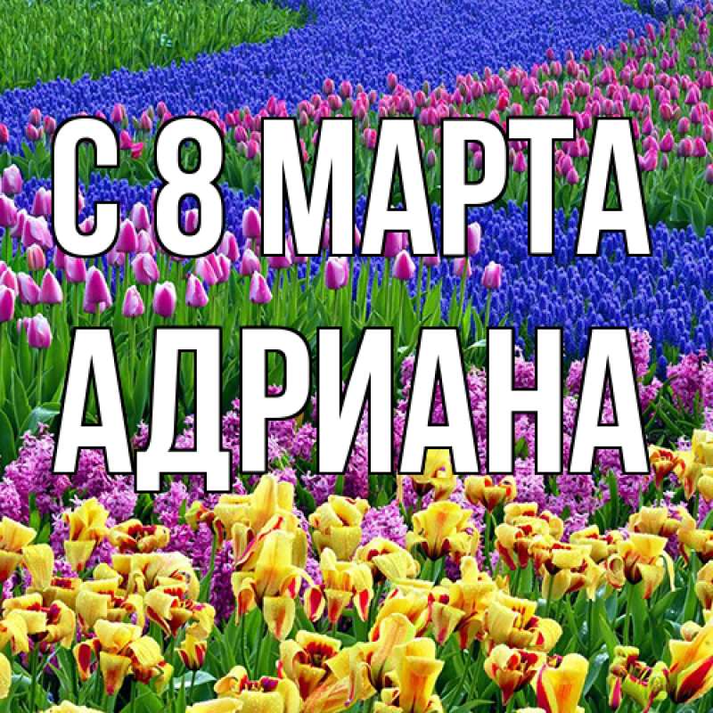 Картинка C 8 МАРТА, Адриана