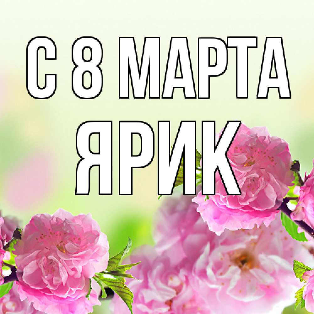 Открытка на каждый день с именем, Ярик C 8 МАРТА цветы Прикольная открытка с пожеланием онлайн скачать бесплатно 