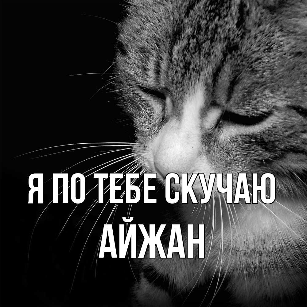 Открытка на каждый день с именем, Айжан Я по тебе скучаю мне скучно Прикольная открытка с пожеланием онлайн скачать бесплатно 