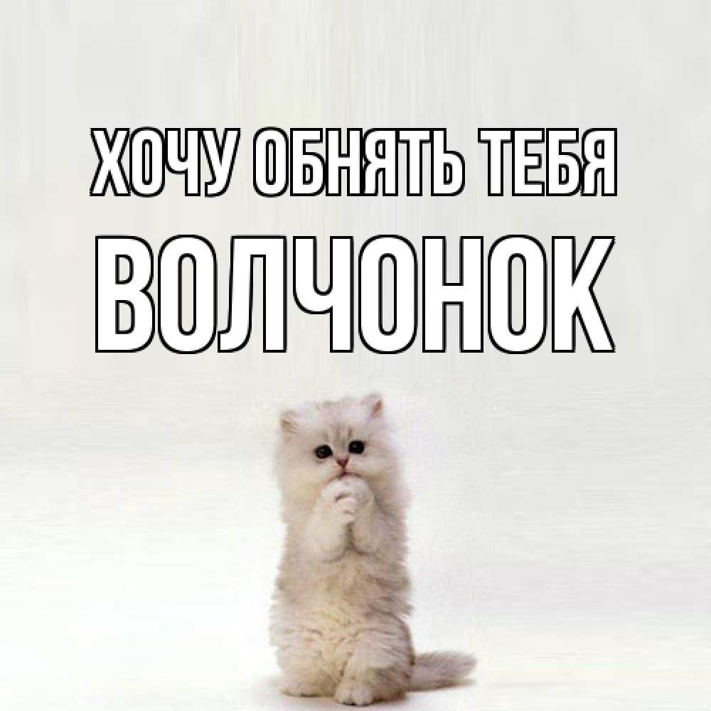 Открытка на каждый день с именем, Волчонок Хочу обнять тебя открытки с креативными подписями Прикольная открытка с пожеланием онлайн скачать бесплатно 