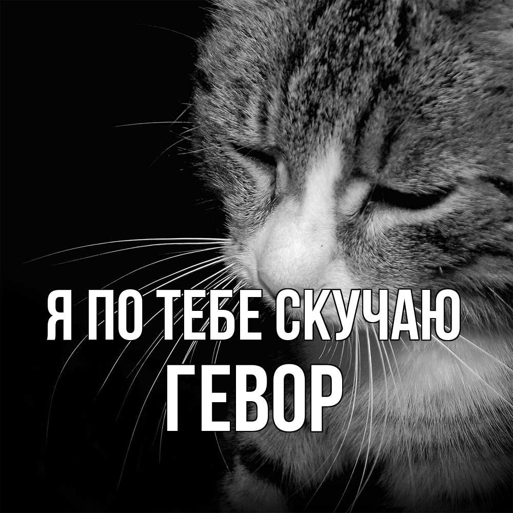 Открытка на каждый день с именем, Гевор Я по тебе скучаю мне скучно Прикольная открытка с пожеланием онлайн скачать бесплатно 