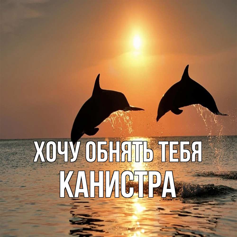 Открытка на каждый день с именем, Канистра Хочу обнять тебя рыбы на закате Прикольная открытка с пожеланием онлайн скачать бесплатно 