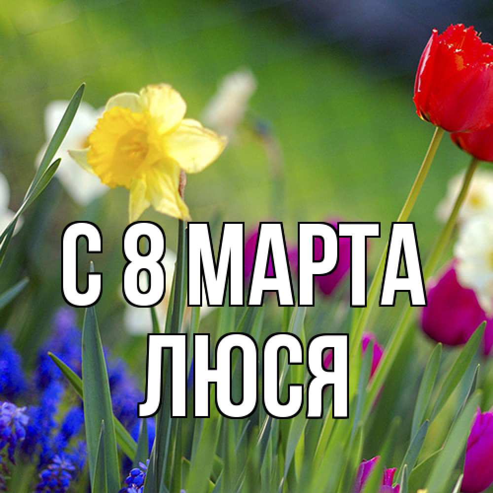 Открытка на каждый день с именем, Люся C 8 МАРТА международный женский день 3 Прикольная открытка с пожеланием онлайн скачать бесплатно 