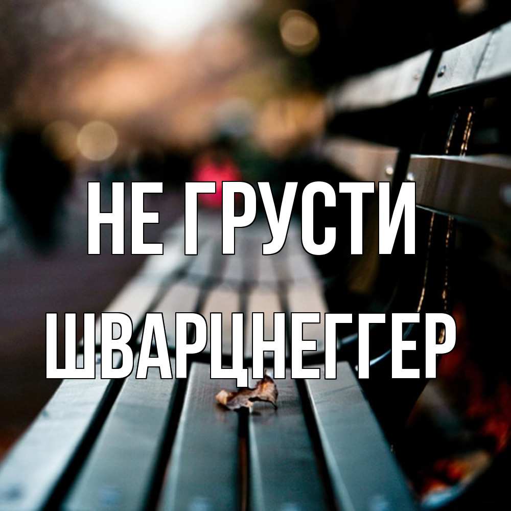 Открытка на каждый день с именем, Шварцнеггер Не грусти размытый фон Прикольная открытка с пожеланием онлайн скачать бесплатно 