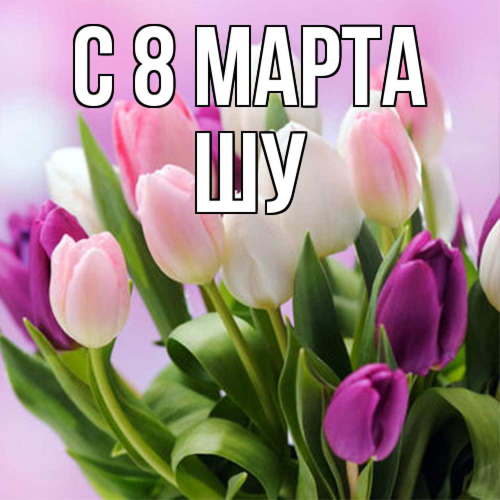 Открытка на каждый день с именем, Шу C 8 МАРТА весна март Прикольная открытка с пожеланием онлайн скачать бесплатно 