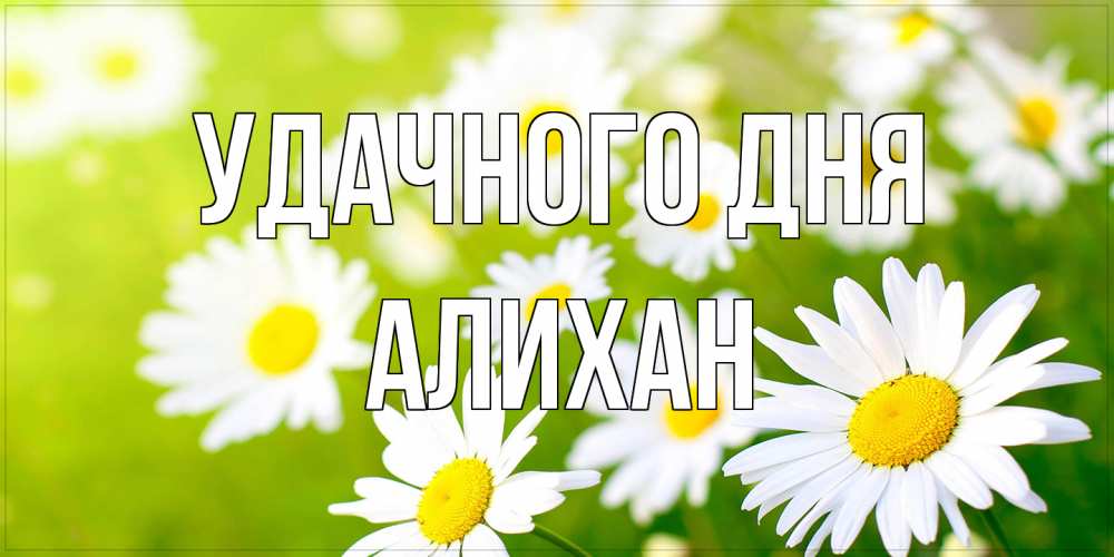 Открытка на каждый день с именем, Алихан Удачного дня открытка с ромашками на зеленом фоне Прикольная открытка с пожеланием онлайн скачать бесплатно 