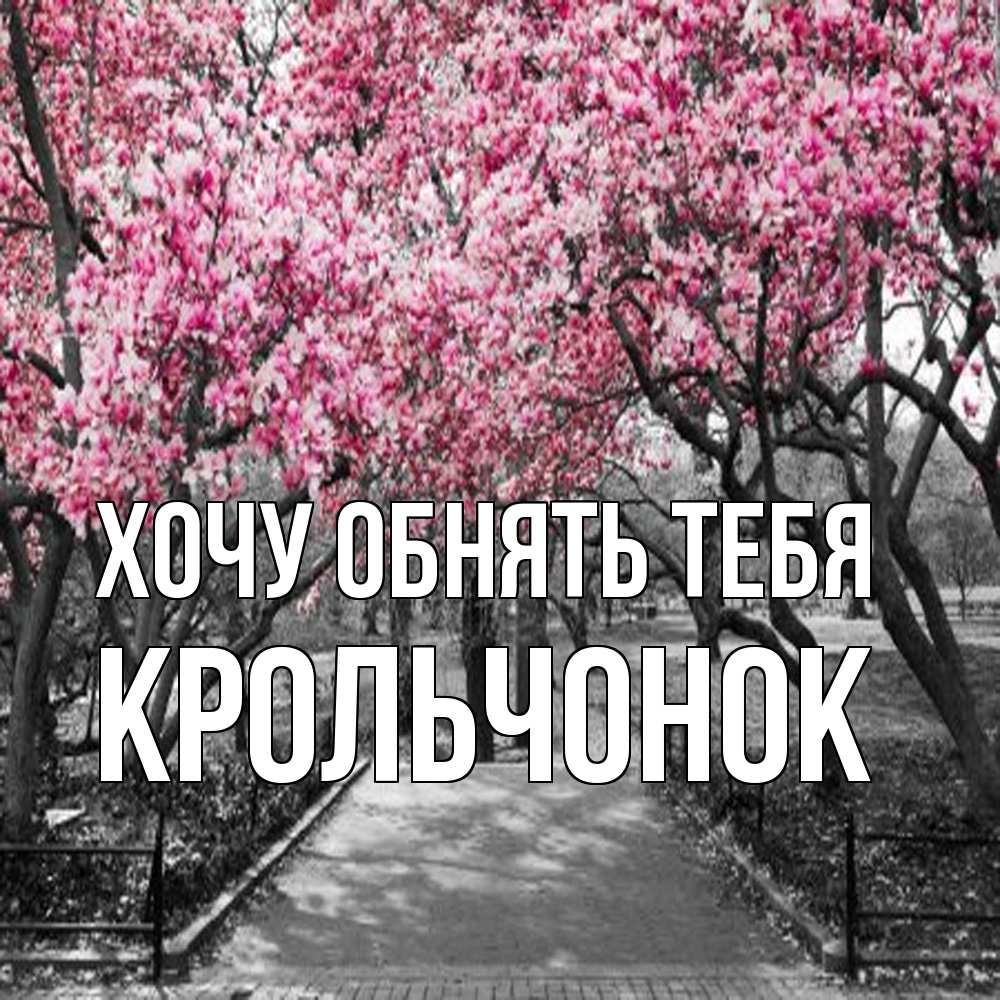 Открытка на каждый день с именем, Крольчонок Хочу обнять тебя обработанное фото Прикольная открытка с пожеланием онлайн скачать бесплатно 