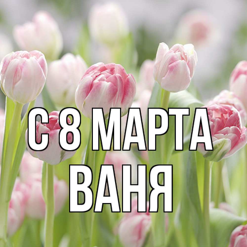 Открытка на каждый день с именем, Ваня C 8 МАРТА цветы Прикольная открытка с пожеланием онлайн скачать бесплатно 