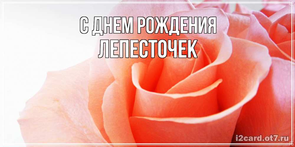 Открытка на каждый день с именем, Лепесточек С днем рождения розы для поздравления с днем рождения Прикольная открытка с пожеланием онлайн скачать бесплатно 