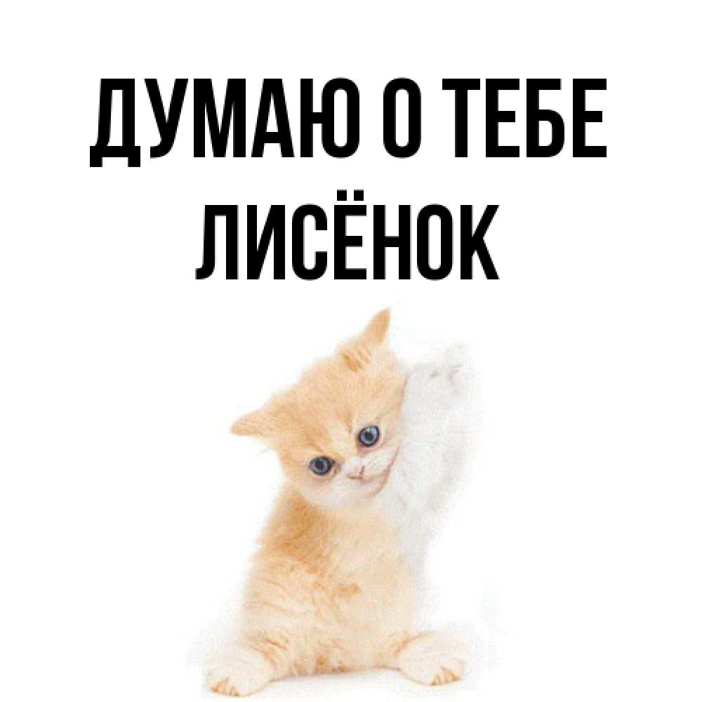 Открытка на каждый день с именем, Лисёнок Думаю о тебе зверушки и милота Прикольная открытка с пожеланием онлайн скачать бесплатно 