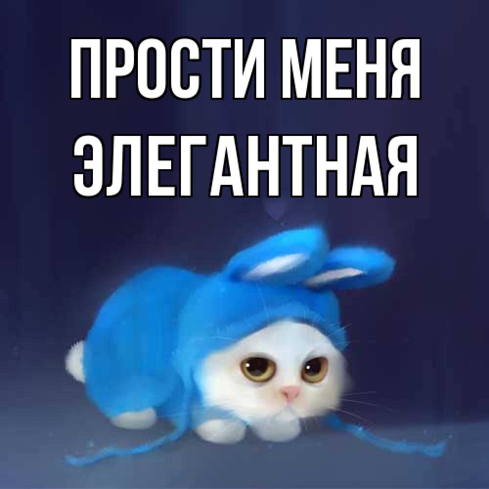 Открытка на каждый день с именем, элегантная Прости меня невинный котозай просит прощения Прикольная открытка с пожеланием онлайн скачать бесплатно 