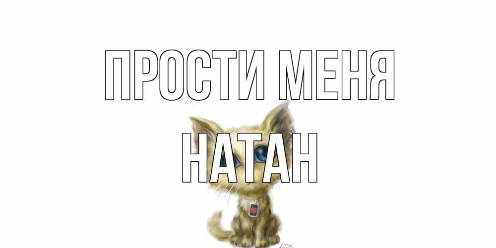 Открытка на каждый день с именем, Натан Прости меня прости меня открытка с котиком Прикольная открытка с пожеланием онлайн скачать бесплатно 