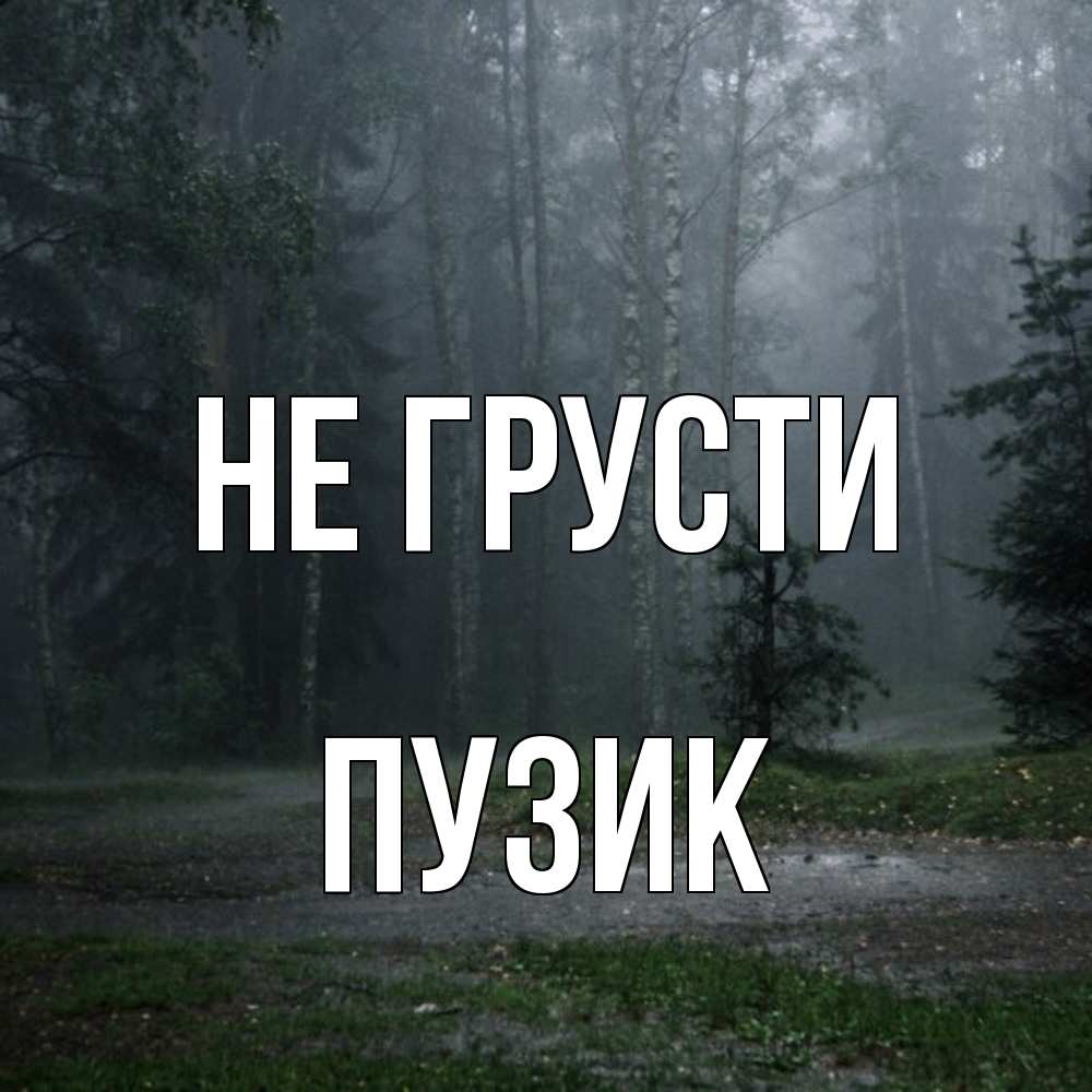 Открытка на каждый день с именем, Пузик Не грусти осень Прикольная открытка с пожеланием онлайн скачать бесплатно 