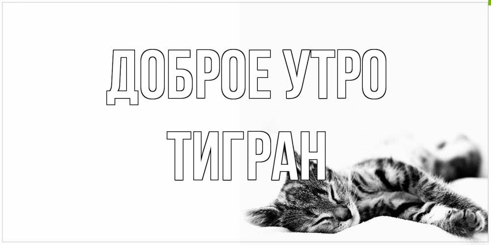 Открытка на каждый день с именем, Тигран Доброе утро котуся Прикольная открытка с пожеланием онлайн скачать бесплатно 
