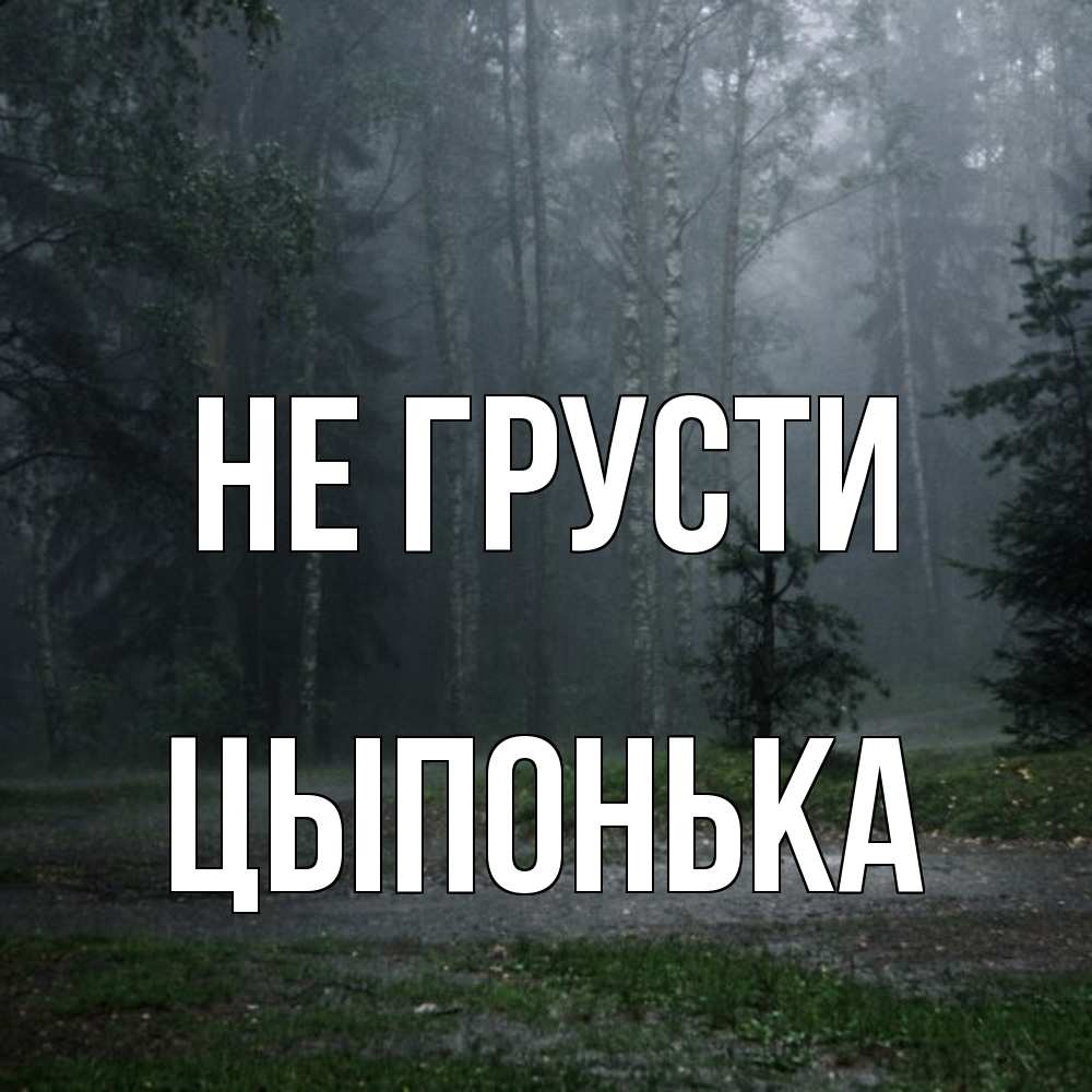 Открытка на каждый день с именем, Цыпонька Не грусти осень Прикольная открытка с пожеланием онлайн скачать бесплатно 