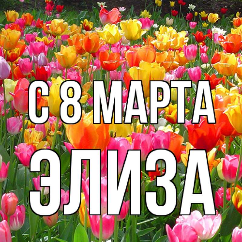 Картинка C 8 МАРТА, Элиза