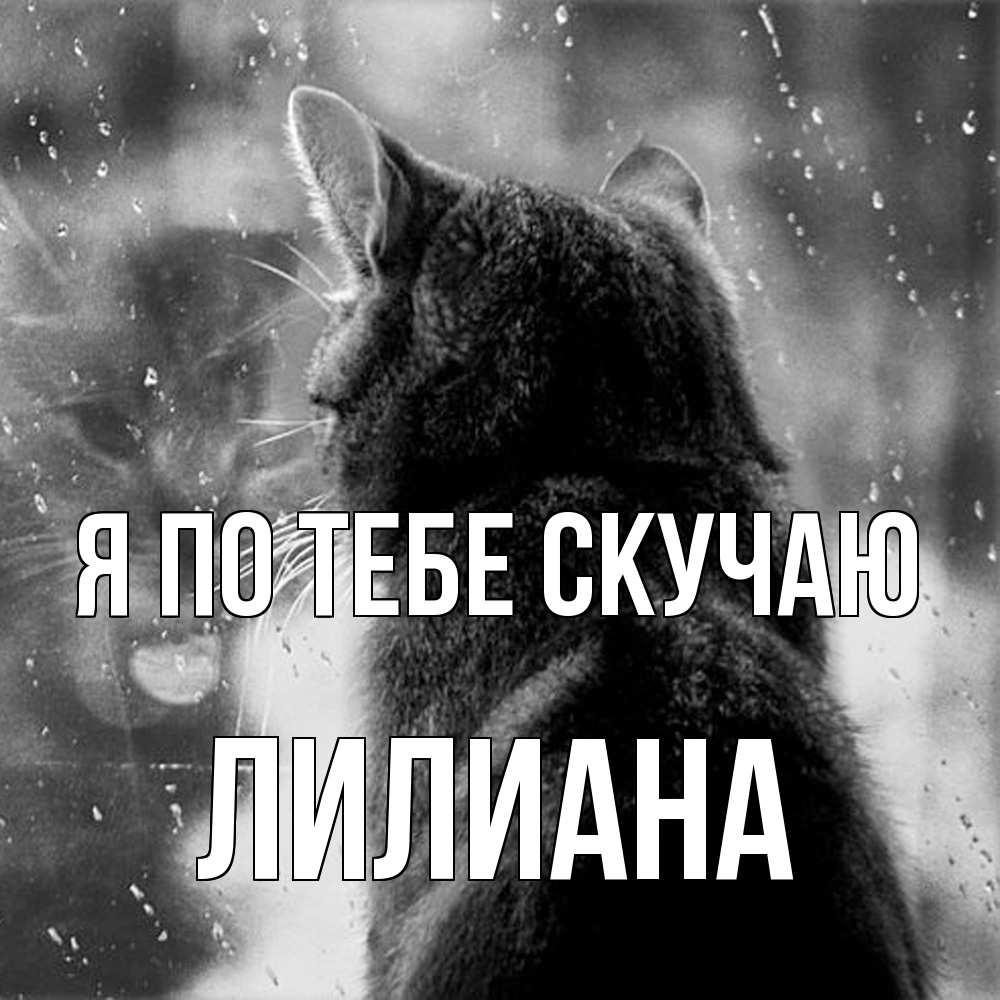 Открытка на каждый день с именем, Лилиана Я по тебе скучаю скорее ко мне приходи 1 Прикольная открытка с пожеланием онлайн скачать бесплатно 
