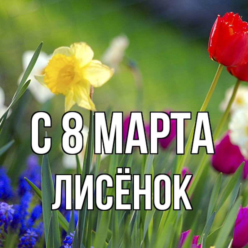 Картинка C 8 МАРТА, Лисёнок