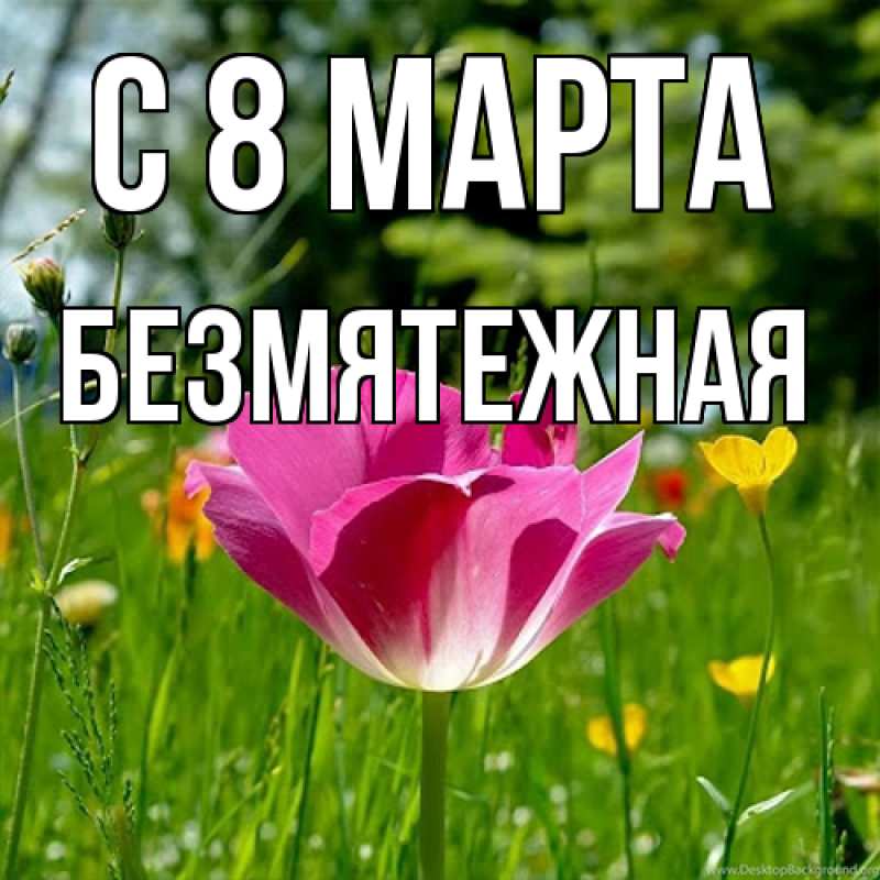 Картинка C 8 МАРТА, безмятежная