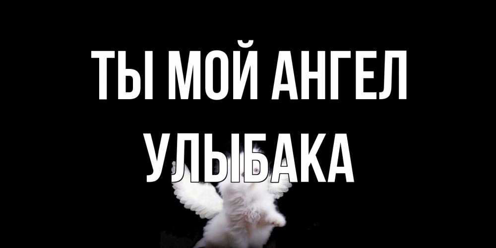 Открытка на каждый день с именем, Улыбака Ты мой ангел Кот ангел Прикольная открытка с пожеланием онлайн скачать бесплатно 