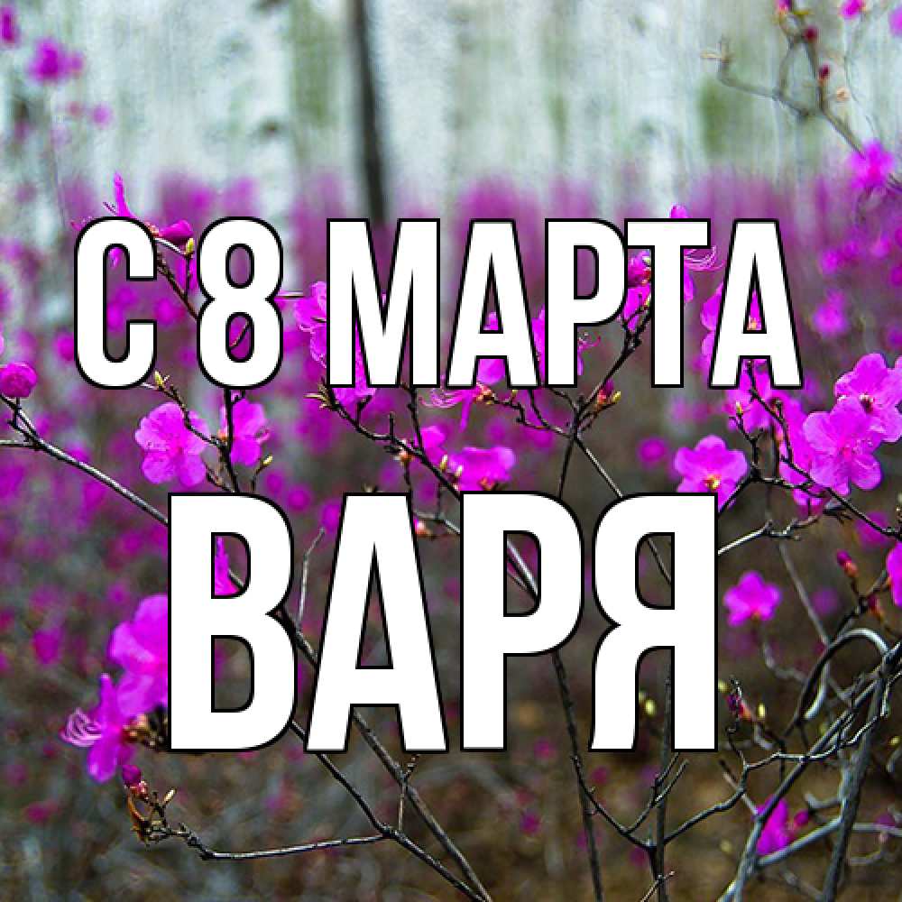 Открытка на каждый день с именем, Варя C 8 МАРТА дикие цветы Прикольная открытка с пожеланием онлайн скачать бесплатно 