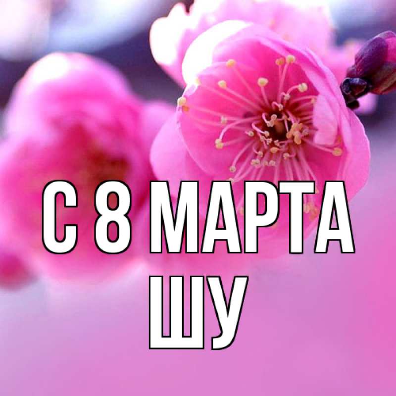 Картинка C 8 МАРТА, Шу