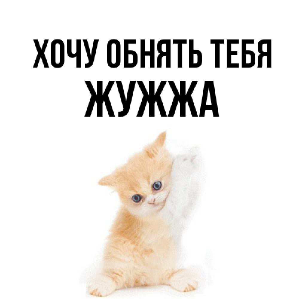 Открытка на каждый день с именем, Жужжа Хочу обнять тебя я хочу очень скорее обнимаешек Прикольная открытка с пожеланием онлайн скачать бесплатно 