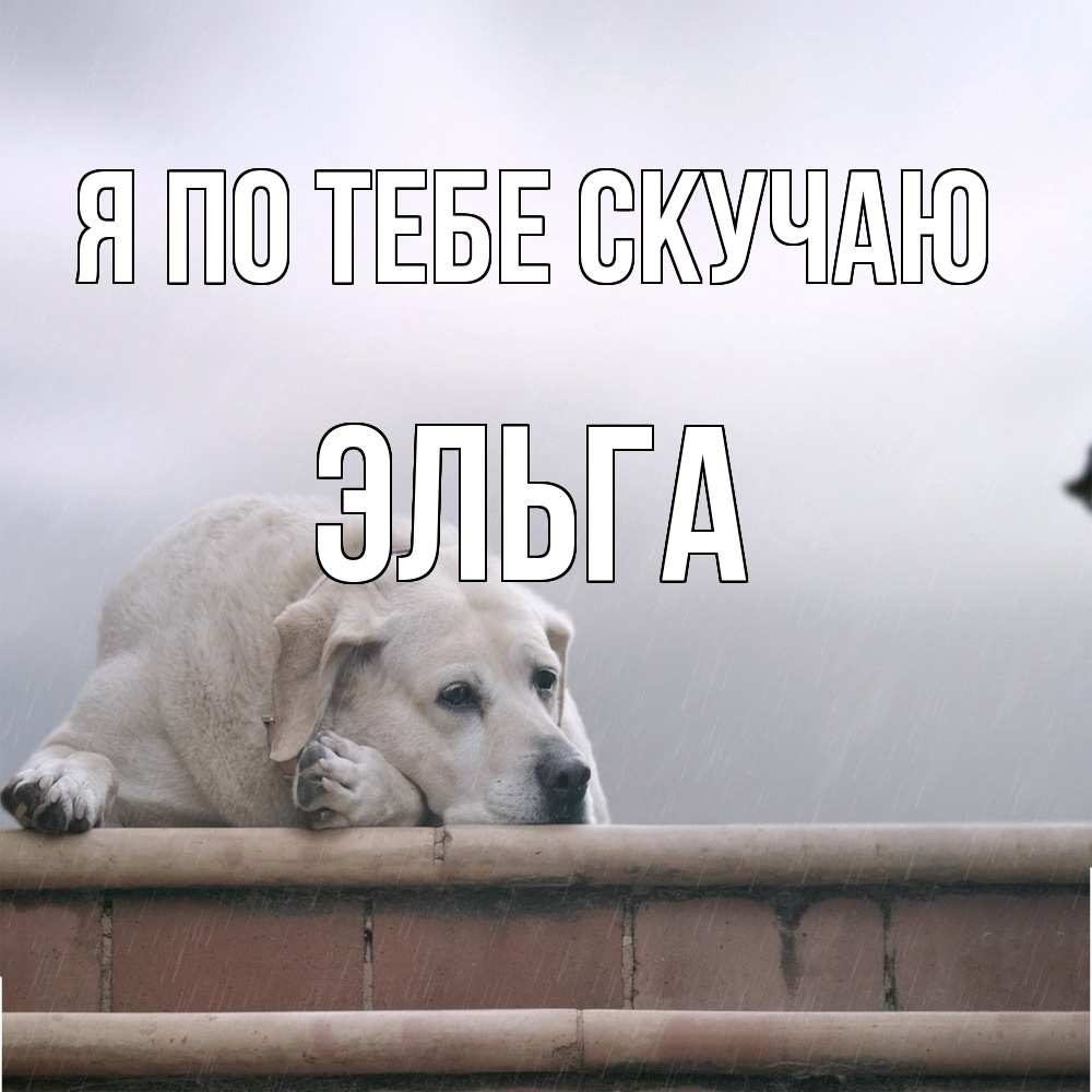 Открытка на каждый день с именем, Эльга Я по тебе скучаю ждет Прикольная открытка с пожеланием онлайн скачать бесплатно 