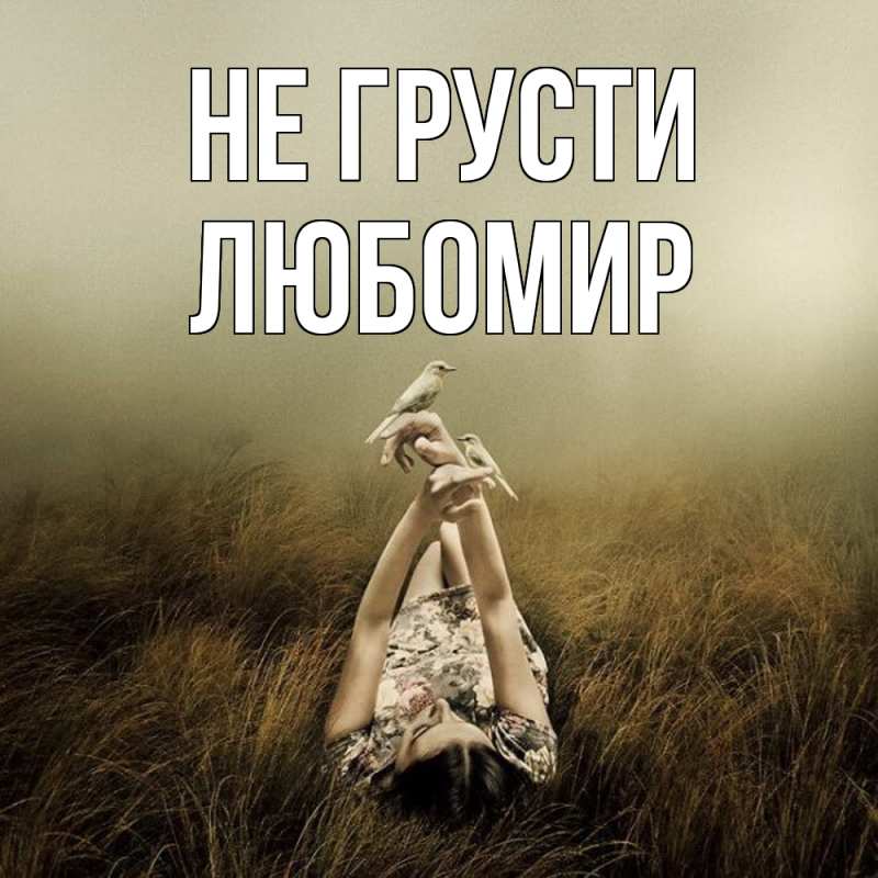 Картинка Не грусти, Любомир