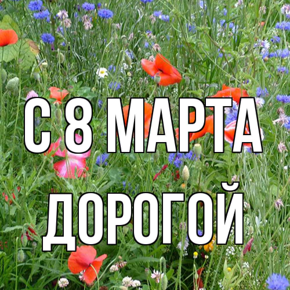 Открытка на каждый день с именем, Дорогой C 8 МАРТА международный женский день 4 Прикольная открытка с пожеланием онлайн скачать бесплатно 