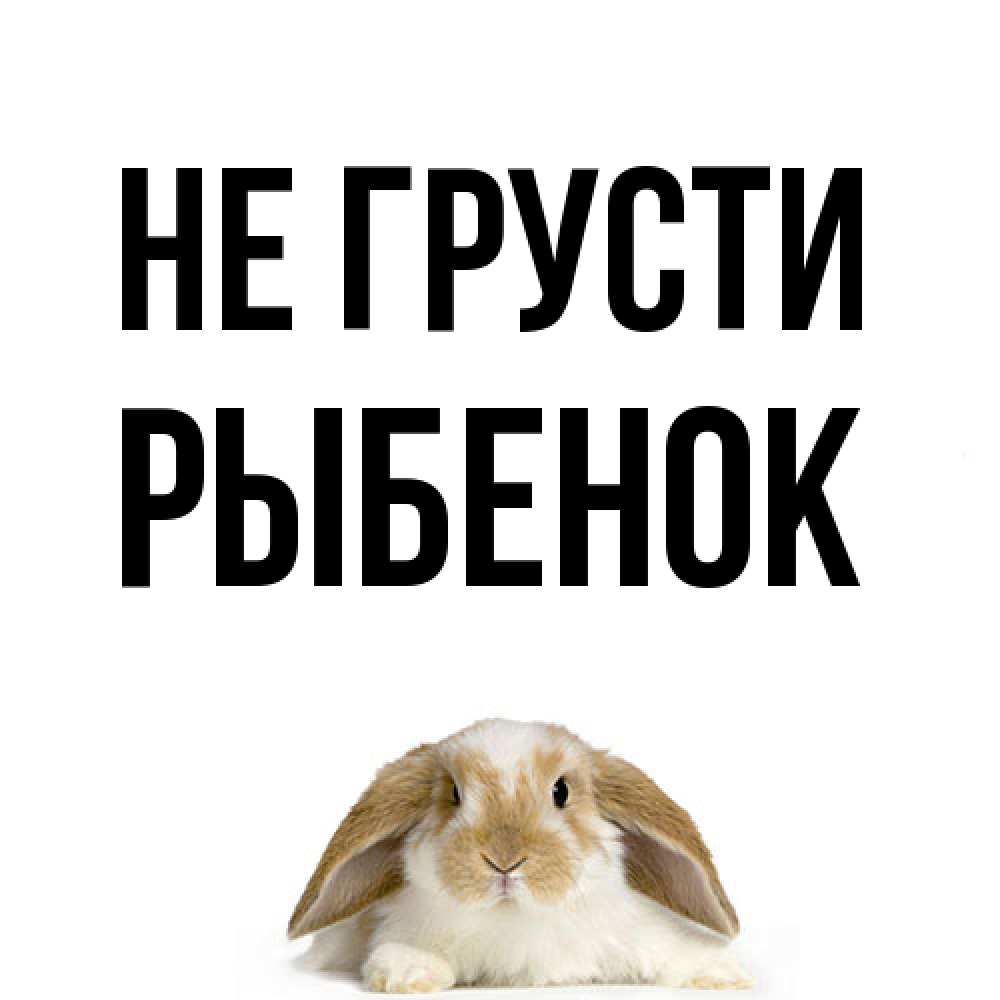 Открытка на каждый день с именем, Рыбенок Не грусти коричнево белый заяц с большими ушками Прикольная открытка с пожеланием онлайн скачать бесплатно 