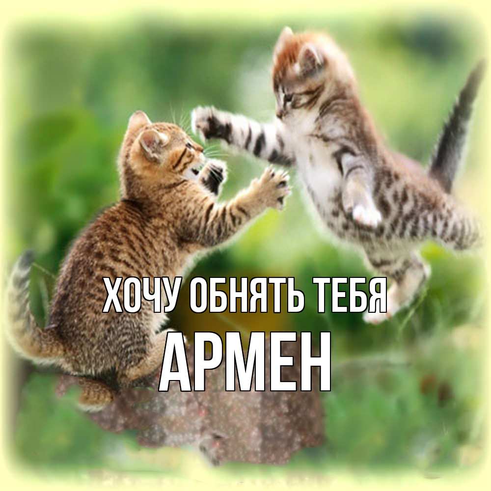 Открытка на каждый день с именем, Армен Хочу обнять тебя игры котят Прикольная открытка с пожеланием онлайн скачать бесплатно 