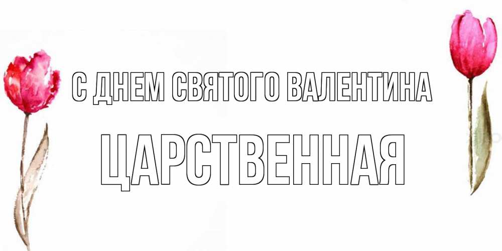 Открытка на каждый день с именем, Царственная С днем Святого Валентина Открытки на день всех влюбленных с тюльпанами акварелью Прикольная открытка с пожеланием онлайн скачать бесплатно 