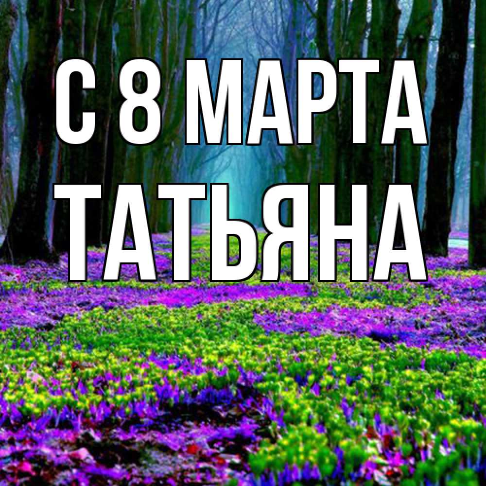 Открытка на каждый день с именем, Татьяна C 8 МАРТА фиолетовые цветы в лесу 1 Прикольная открытка с пожеланием онлайн скачать бесплатно 