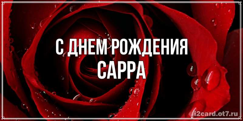 Картинка С днем рождения, Сарра