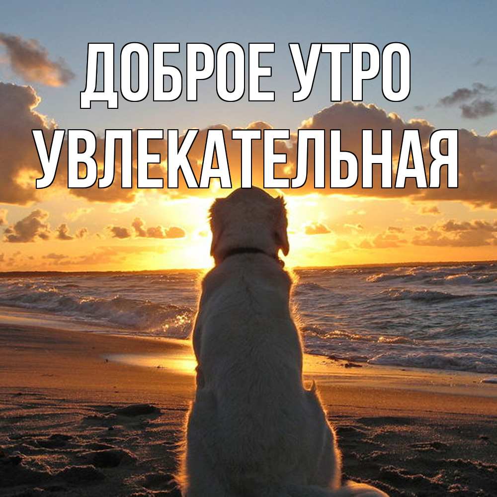 Открытка на каждый день с именем, Увлекательная Доброе утро восход солнца Прикольная открытка с пожеланием онлайн скачать бесплатно 