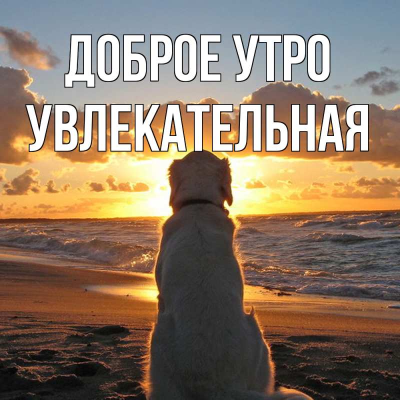 Картинка Доброе утро, Увлекательная
