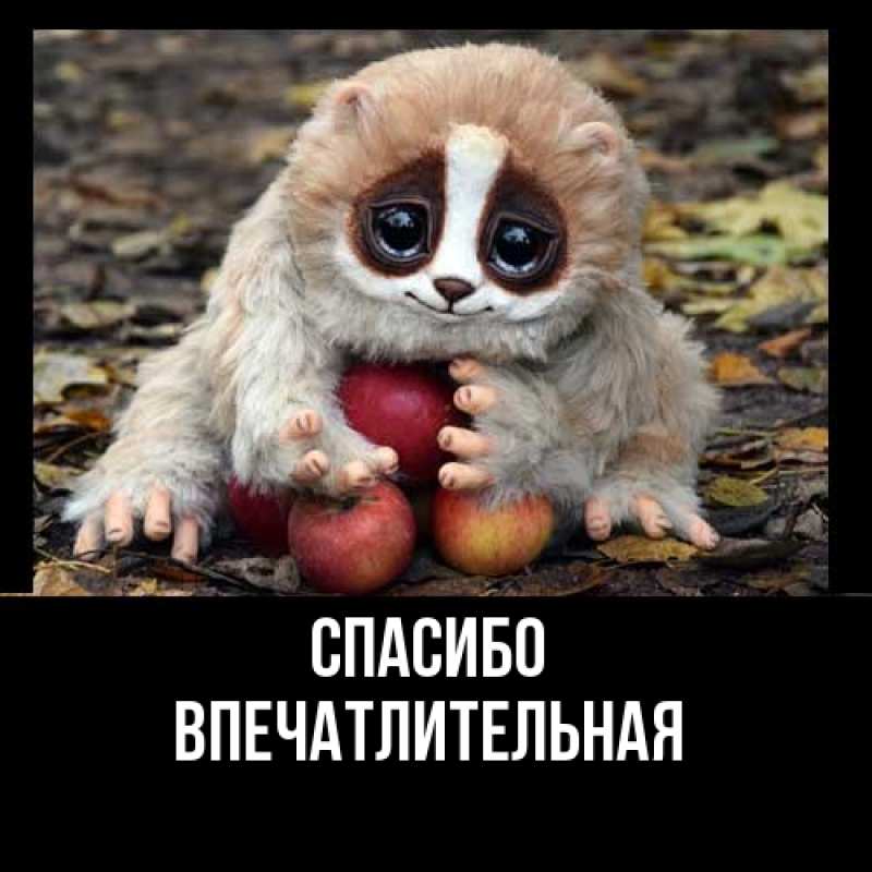 Картинка Спасибо, впечатлительная