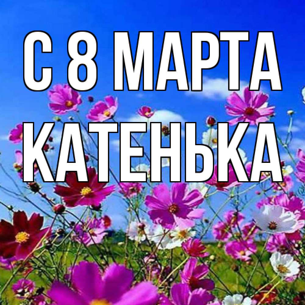 Открытка на каждый день с именем, Катенька C 8 МАРТА цветы Прикольная открытка с пожеланием онлайн скачать бесплатно 